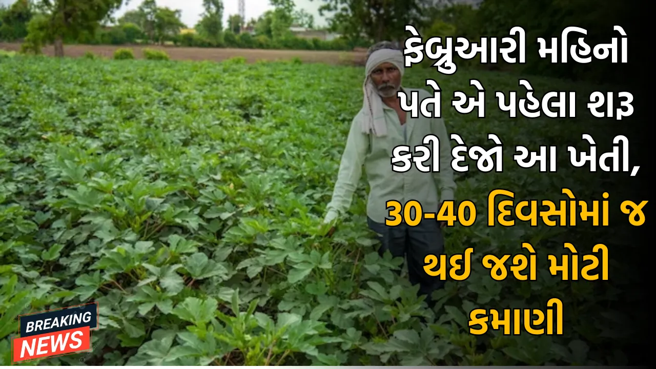 ફેબ્રુઆરી મહિનો પતે એ પહેલા શરૂ કરી દેજો આ ખેતી, 30-40 દિવસોમાં જ થઈ જશે મોટી કમાણી