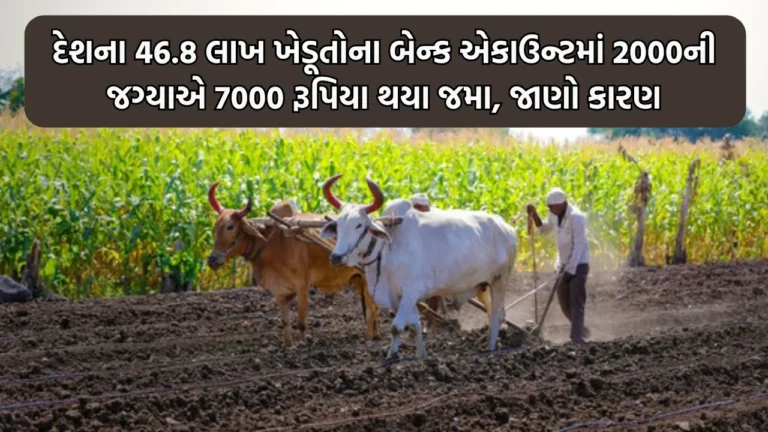 PM Kisan Yojana